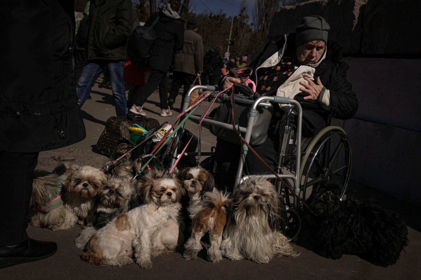 Ukraine War 100 Days Photo Gallery